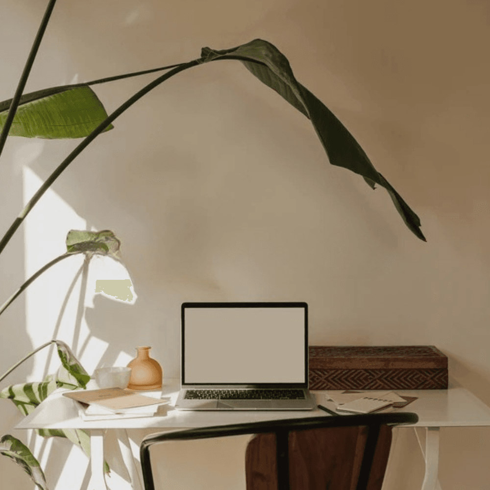 Peaceful workspace setup